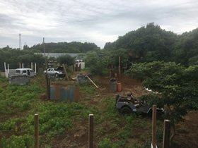 フィールド:A